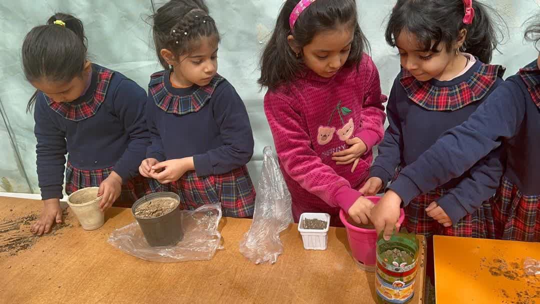 روز درختکاری